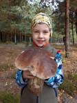 Pkaż album Borowik na Maksa