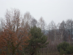 Kliknij, by zobaczyć całe zdjęcie.